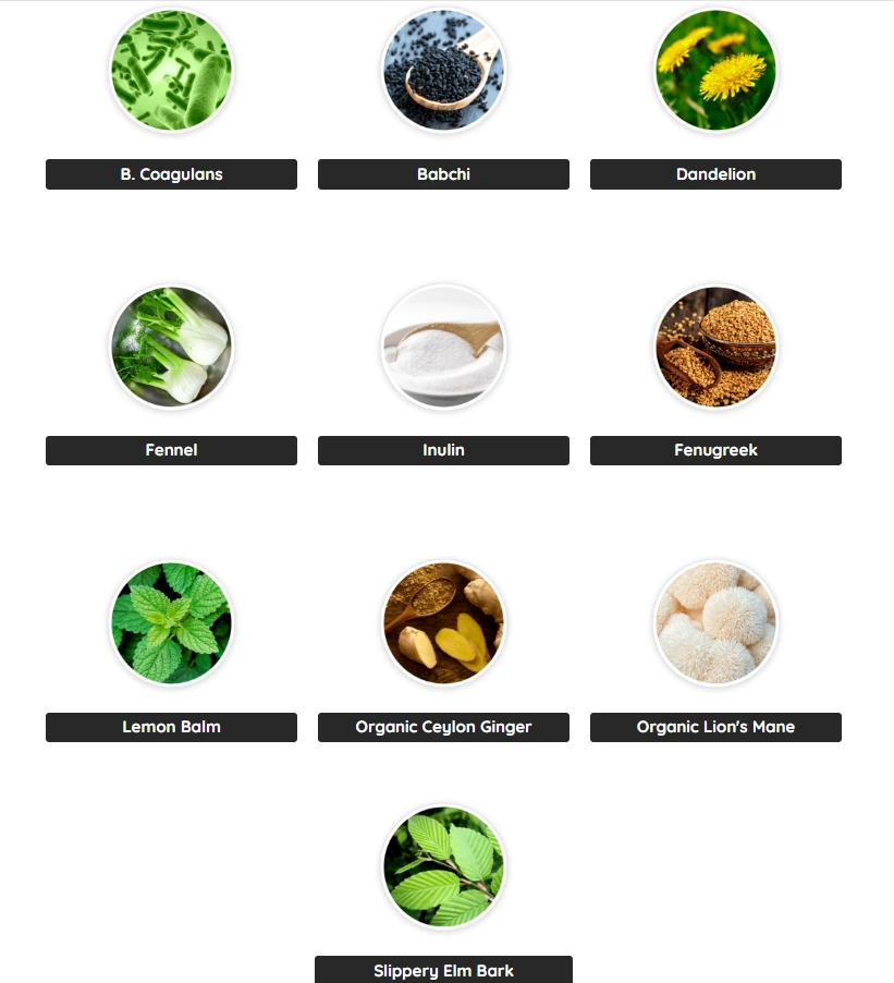 Natural ingredients in PrimeBiome
